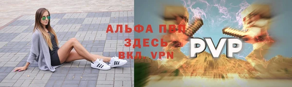 индика Дегтярск