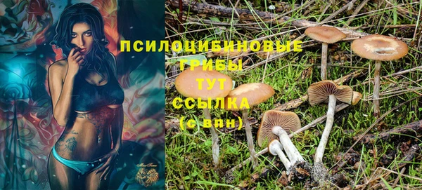 прущие крисы Надым