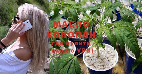 индика Дегтярск